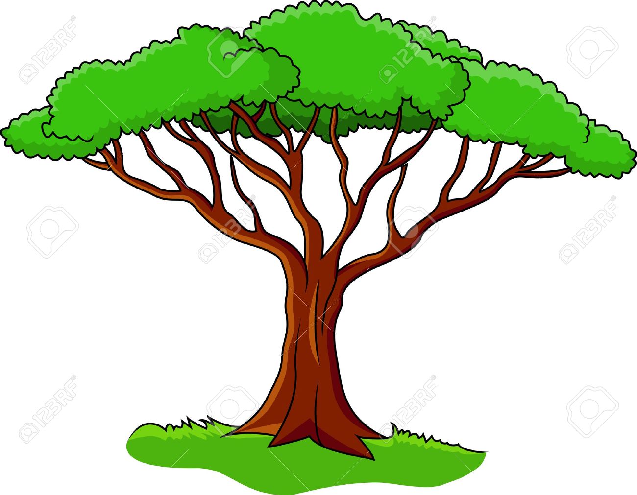 1300x1011 Safari Clipart Tree