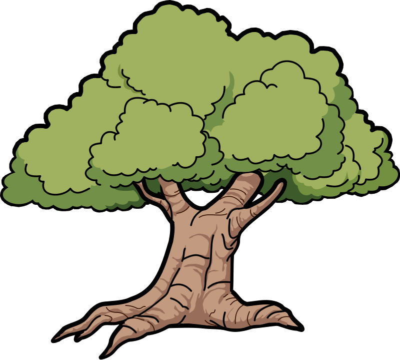 800x719 Trees Family Tree Clipart Free Images