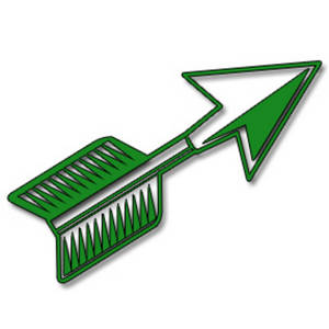 300x300 Picture Of A Short, Green Arrow