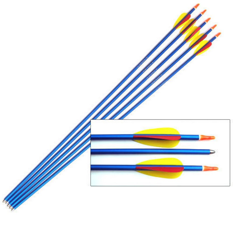 800x800 Aluminium Target Arrow