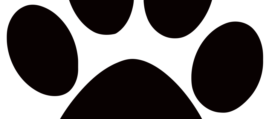 900x400 Dog Paw Print Free Clipart