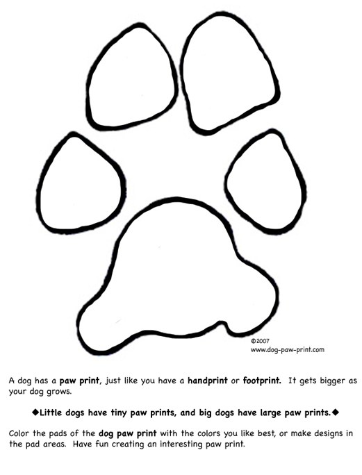 521x684 Free Paw Print Backgrounds