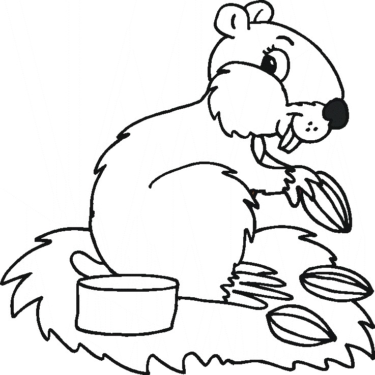 737x738 Animals Coloring Pages