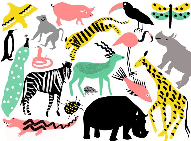 670x493 123 Best Animal Conversational Prints Images