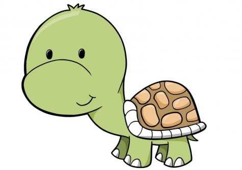475x335 Top 10 Animated Turtle Pictures