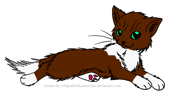 702x382 Warrior Cats Anime