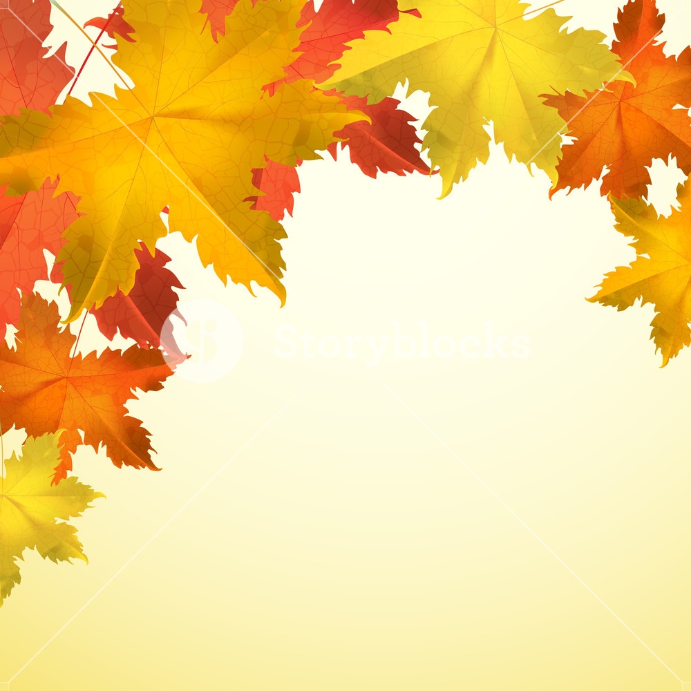 1000x1000 Maple Leaves On Abstract Background For Autumn Season Royalty Free