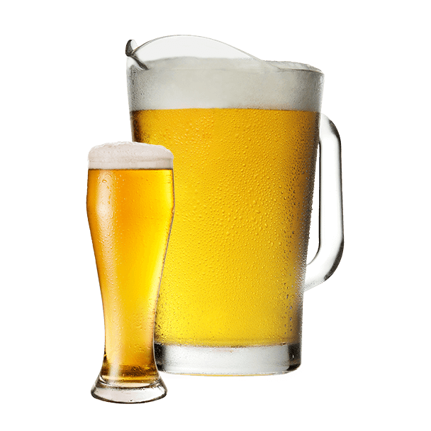 608x607 Bonneville Brewery Beer Accelerated