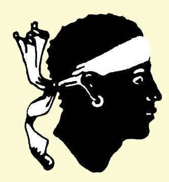 333x358 35 Best History Moors Images African Americans