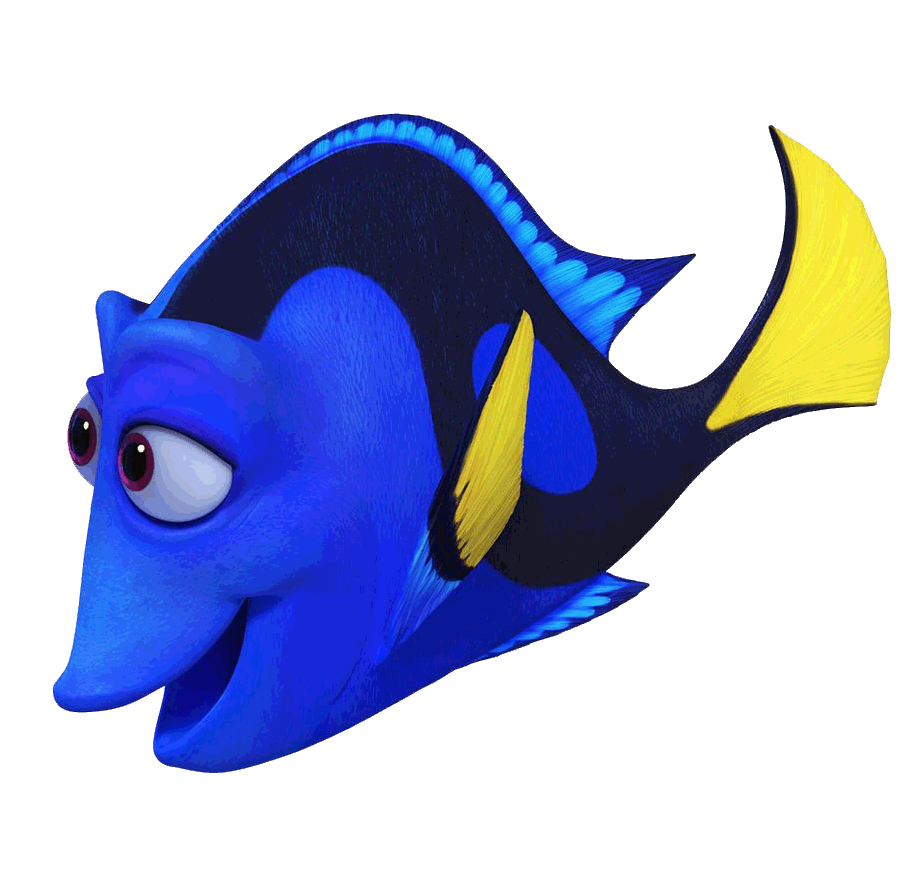 911x888 Butterflyfish Clipart Dory Fish