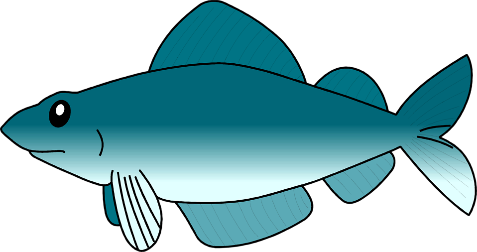 958x506 Graphics For Fish Transparent Graphics