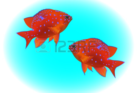 450x305 Tropical Fish On Blue Background Royalty Free Cliparts, Vectors