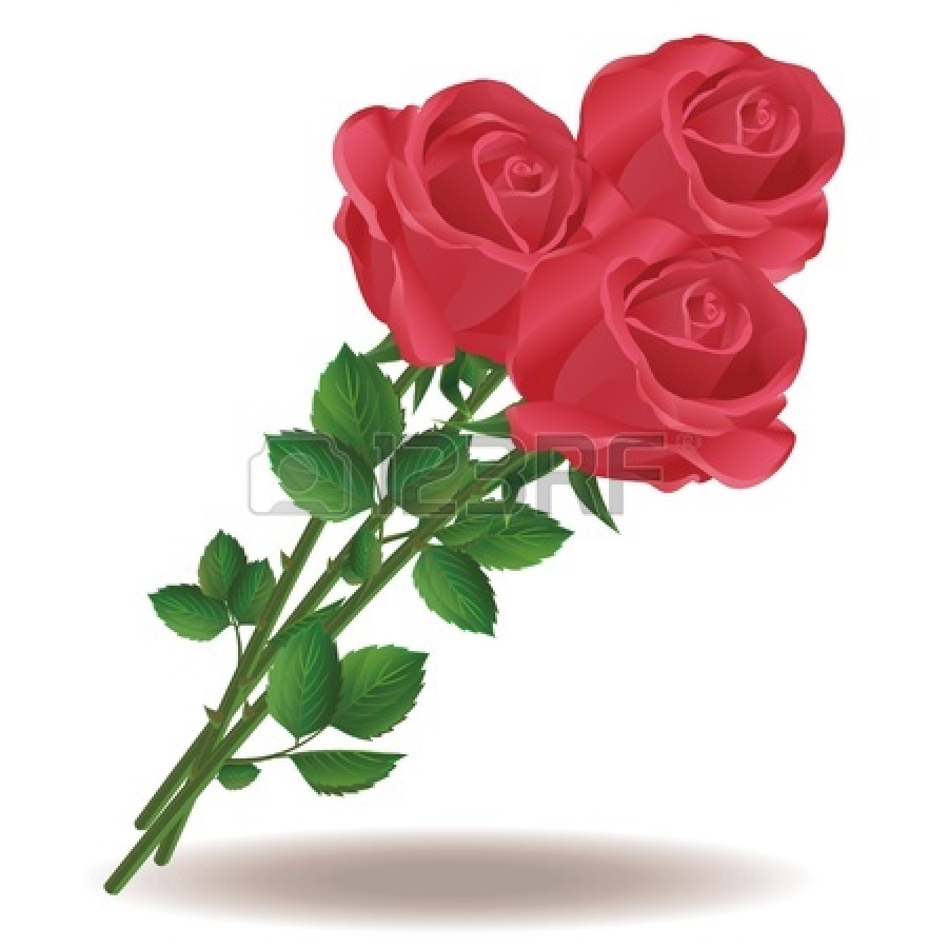 1350x1350 Bouquet Clipart Dozen Rose