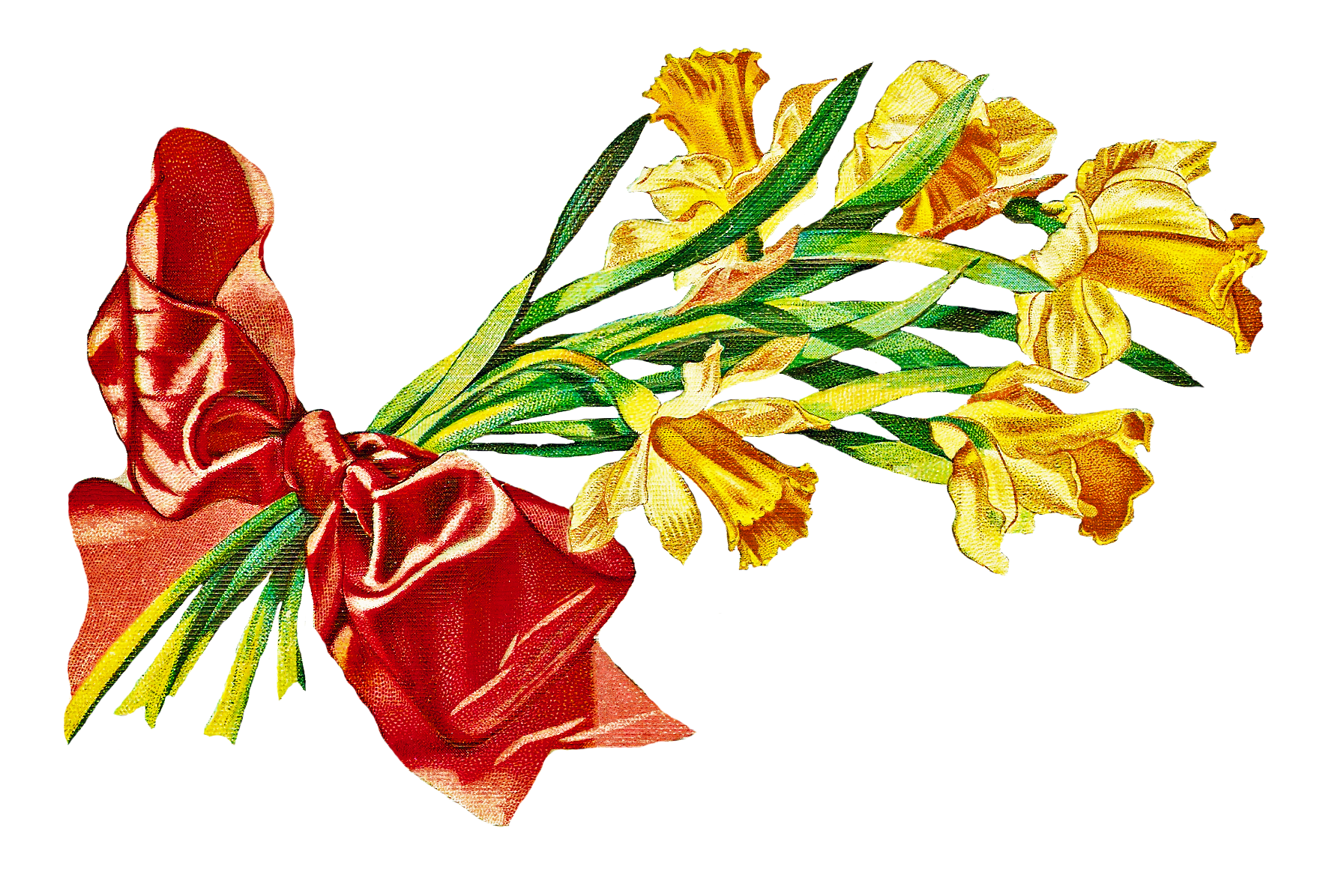 1785x1196 Bouquet Clipart May