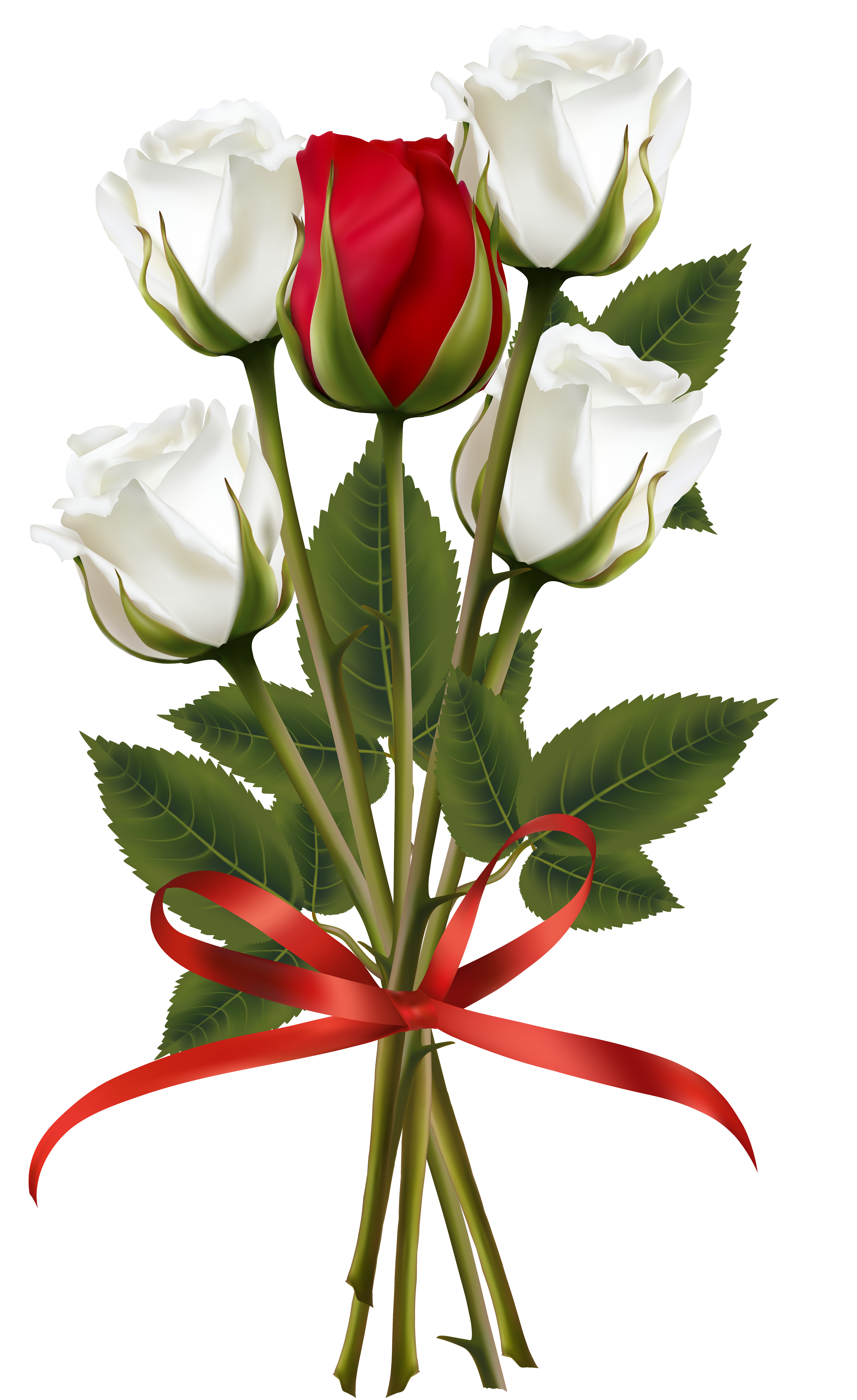 4288x7000 White And Red Rose Bouquet Transparent Png Clip Art Image