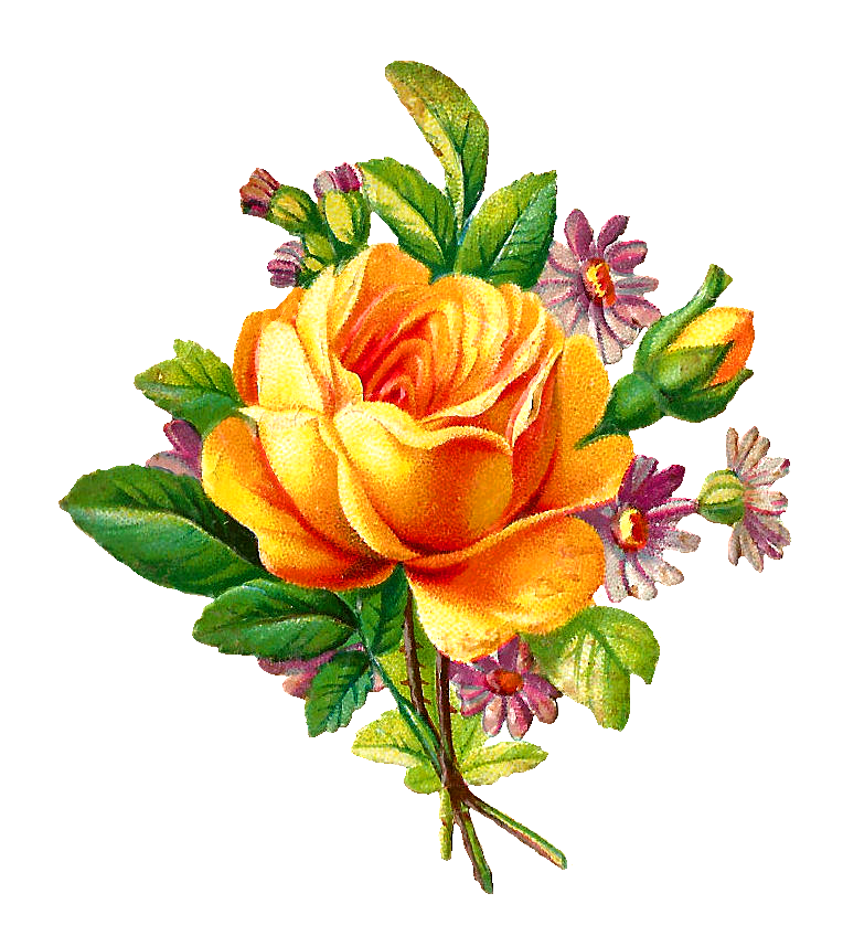 764x848 Yellow Rose Bouquet Clipart