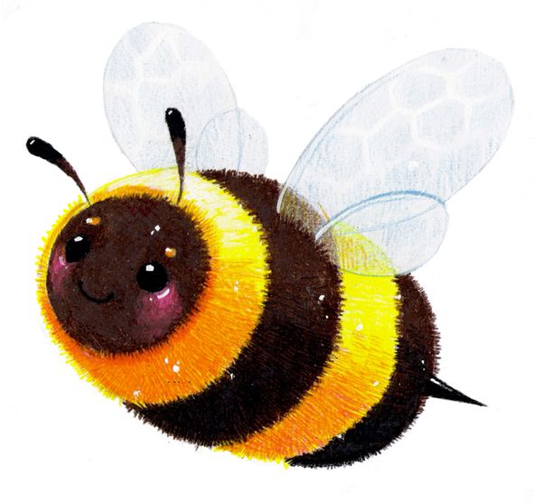 600x557 346 Best Bee Images Queens, Bee And Beehive
