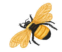 208x175 Free Bee Graphics