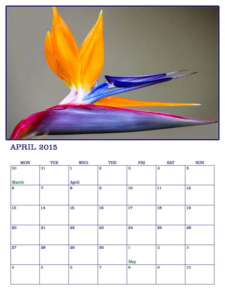 463x599 2015 Photographic Art Variety Russel Ray Photos