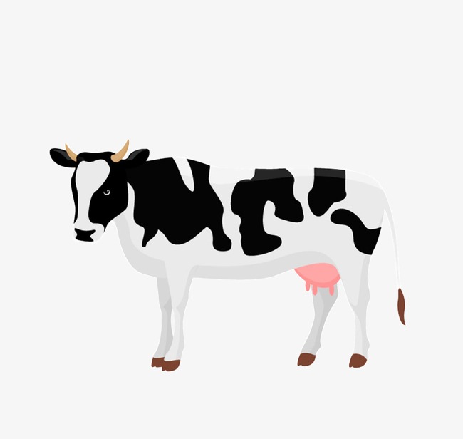 650x616 Cartoon Cow, Cartoon, Cows, Black And White Png And Psd File
