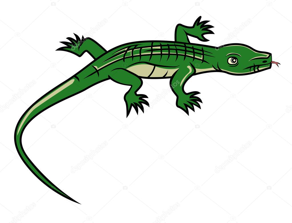 1023x783 Cartoon Lizards Stock Vector Funwayillustration