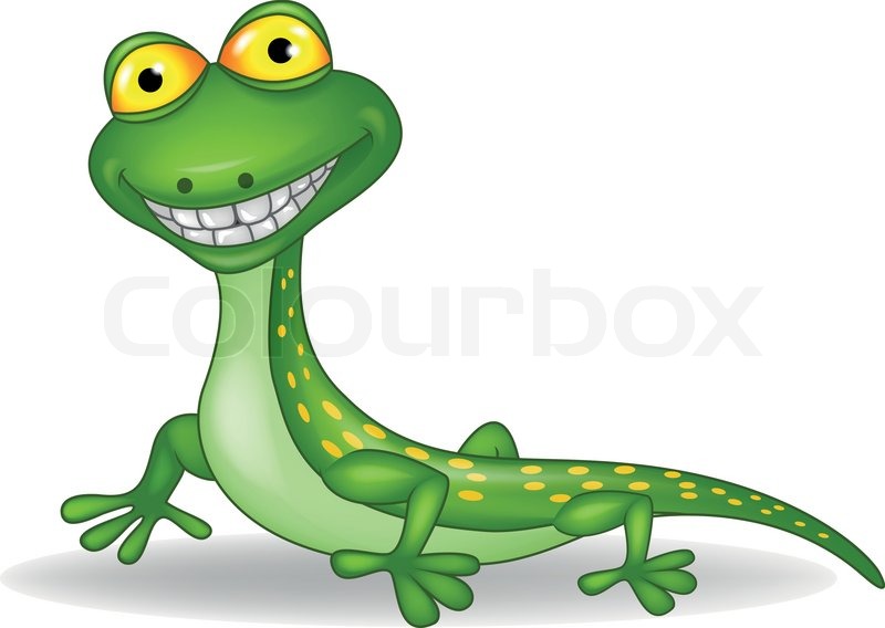 800x568 Lizard Clipart Face