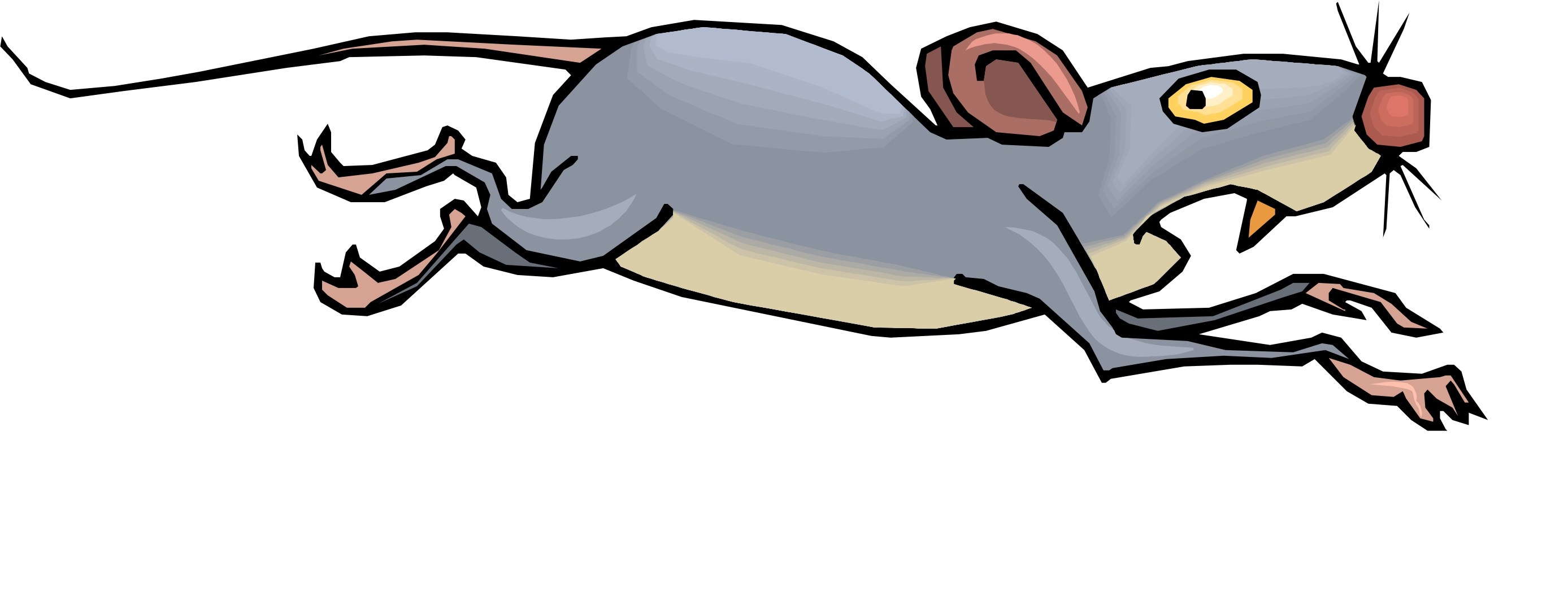 2775x1057 Cartoon With Mice And Rats