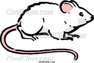 300x201 Cartoon Mouse Vector Clip Art