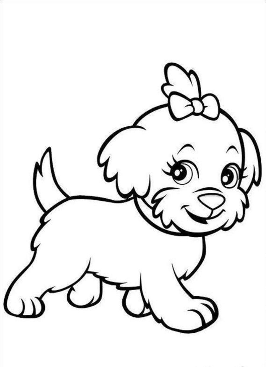 900x1240 Puppy Face Coloring Page Image Clipart Images
