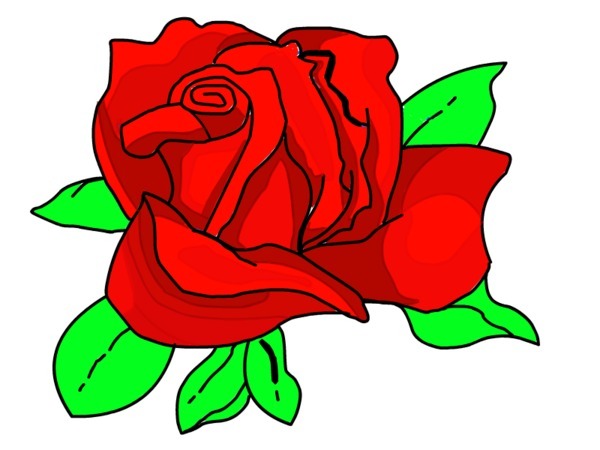 600x450 Rose Clipart Easy Cartoon