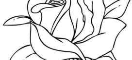 272x125 Cartoon Roses Draw