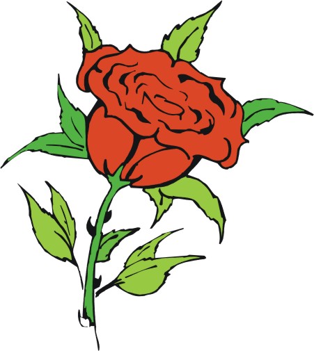 451x505 Cartoon Pictures Of Roses
