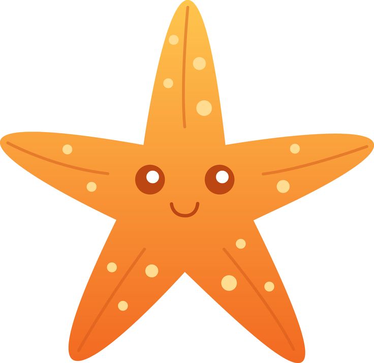 736x714 The Best Cartoon Starfish Ideas Cartoon Fun