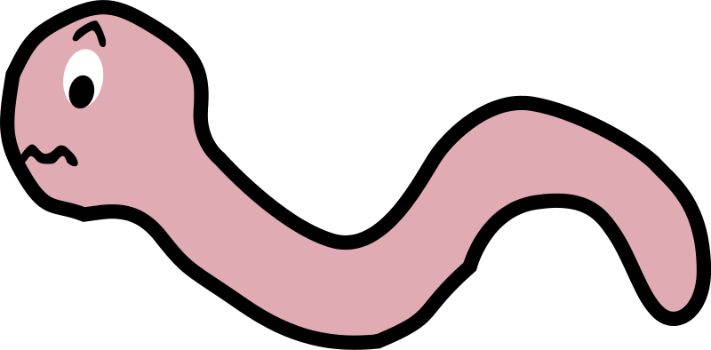 800x394 Cartoon Worm Pictures