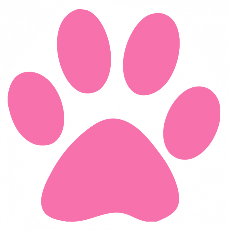 797x800 Cat Paw Prints Images Free Download Clip Art