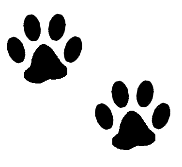 376x344 Graphics For Cat Paw Print Graphics