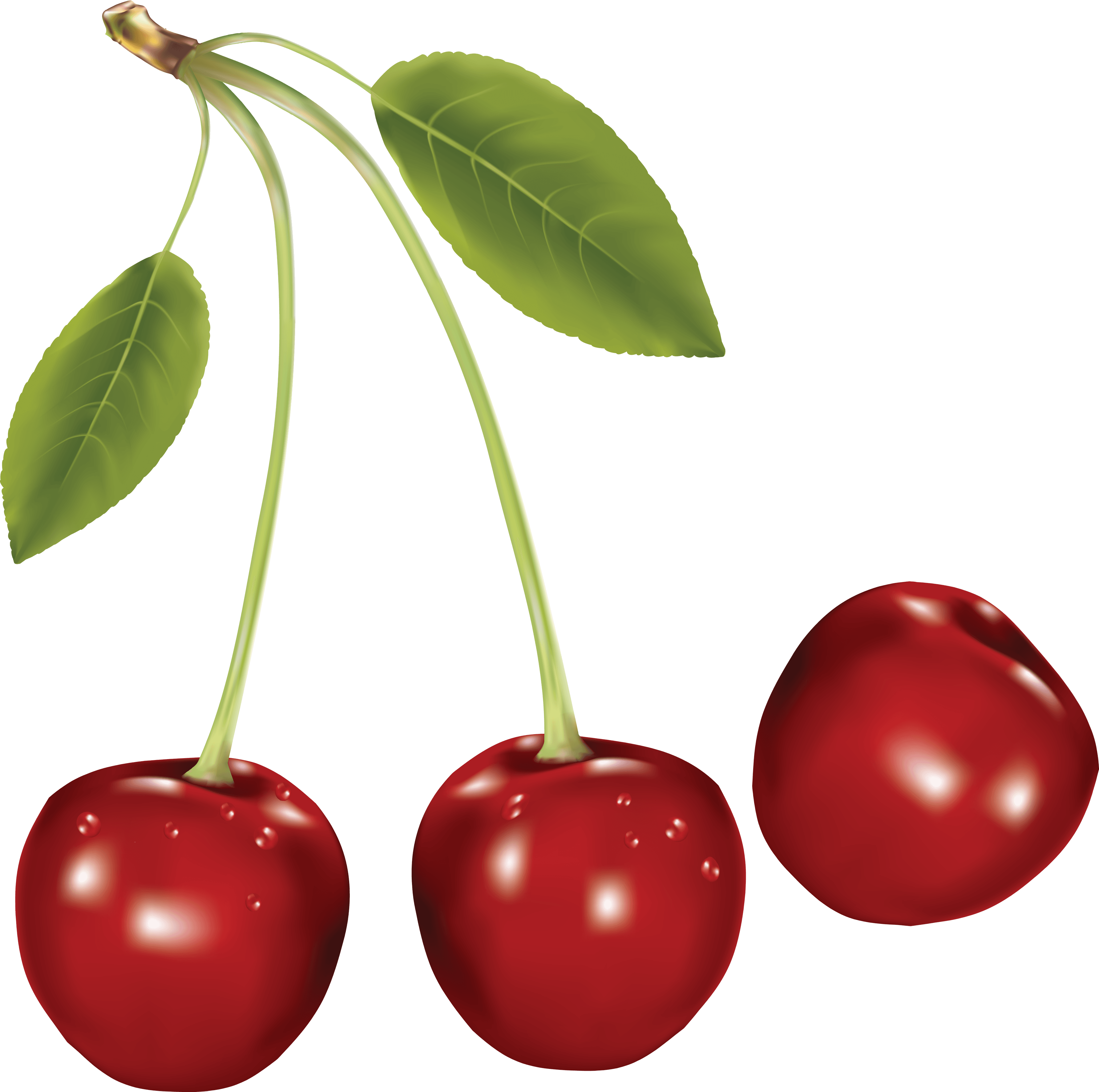 3569x3546 Download Cherry Free Png Photo Images And Clipart Freepngimg