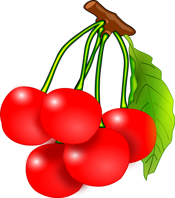 600x680 Free To Use Amp Public Domain Cherries Clip Art