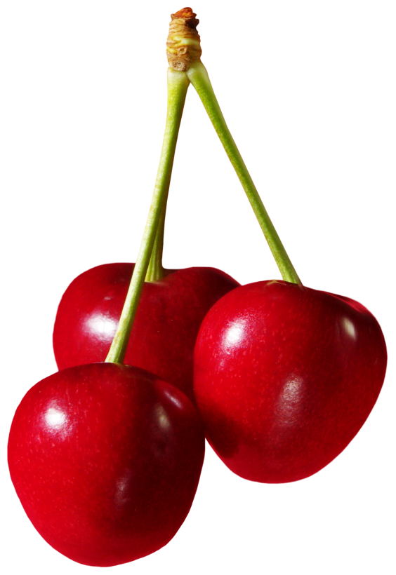 564x820 Large Cherries Png Clipartu200b Gallery Yopriceville