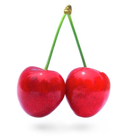 450x480 Our Cherry Types