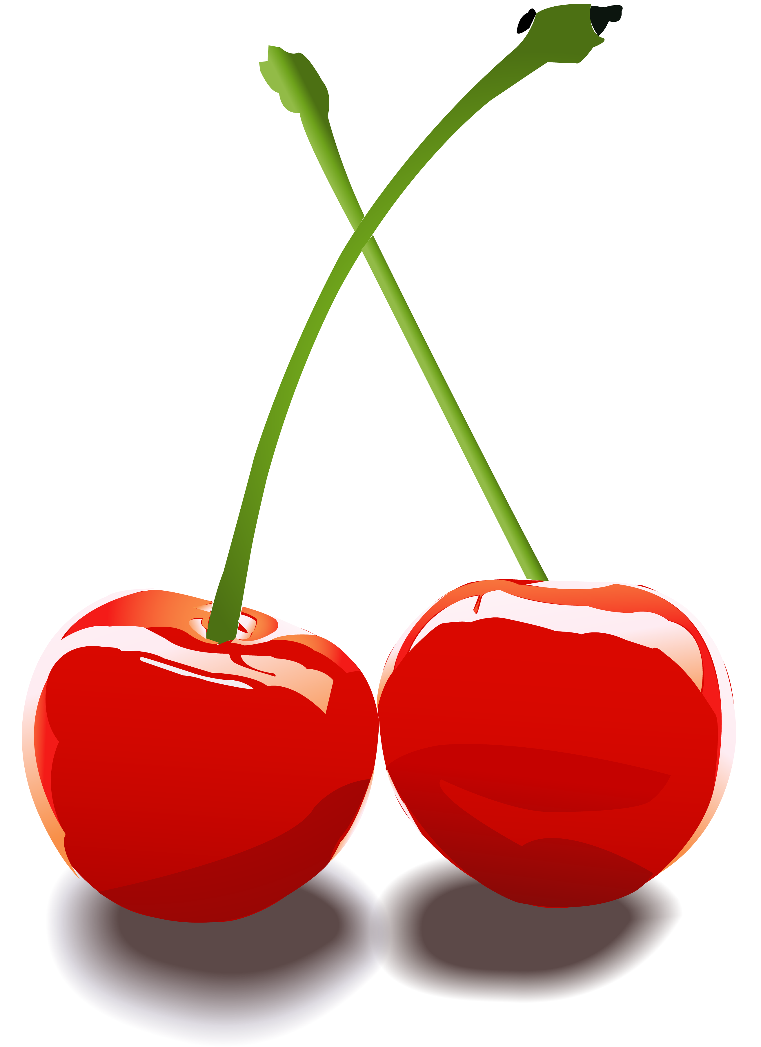2625x3609 Two Cherries Clipart Nvsi