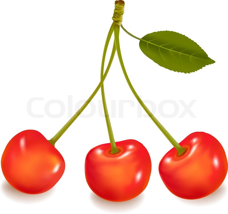 800x751 Vector. Three Cherries With Leaf Isolated On A White Background
