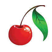 170x170 Cherries Clip Art