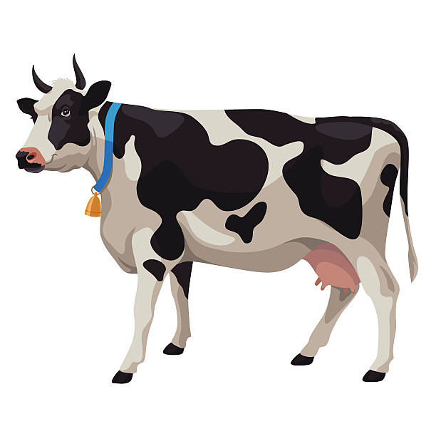 612x612 Cow Clipart Side View