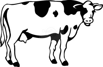 342x222 Beef Clipart Cow Outline