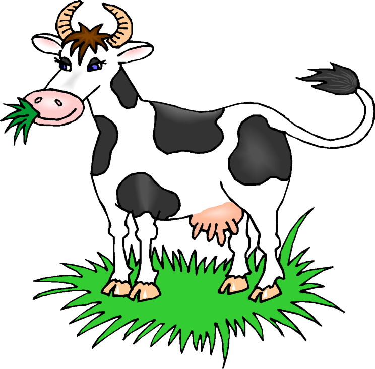 744x732 Farm Cow Clipart, Explore Pictures
