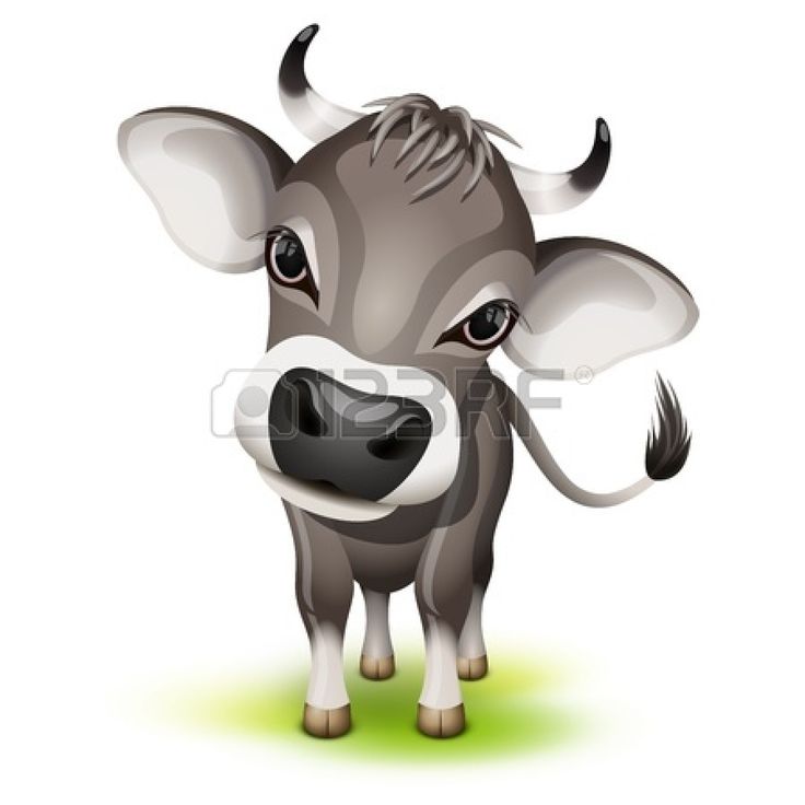 736x736 Best Cow Clipart Ideas Chicken Adobe Image, Cow