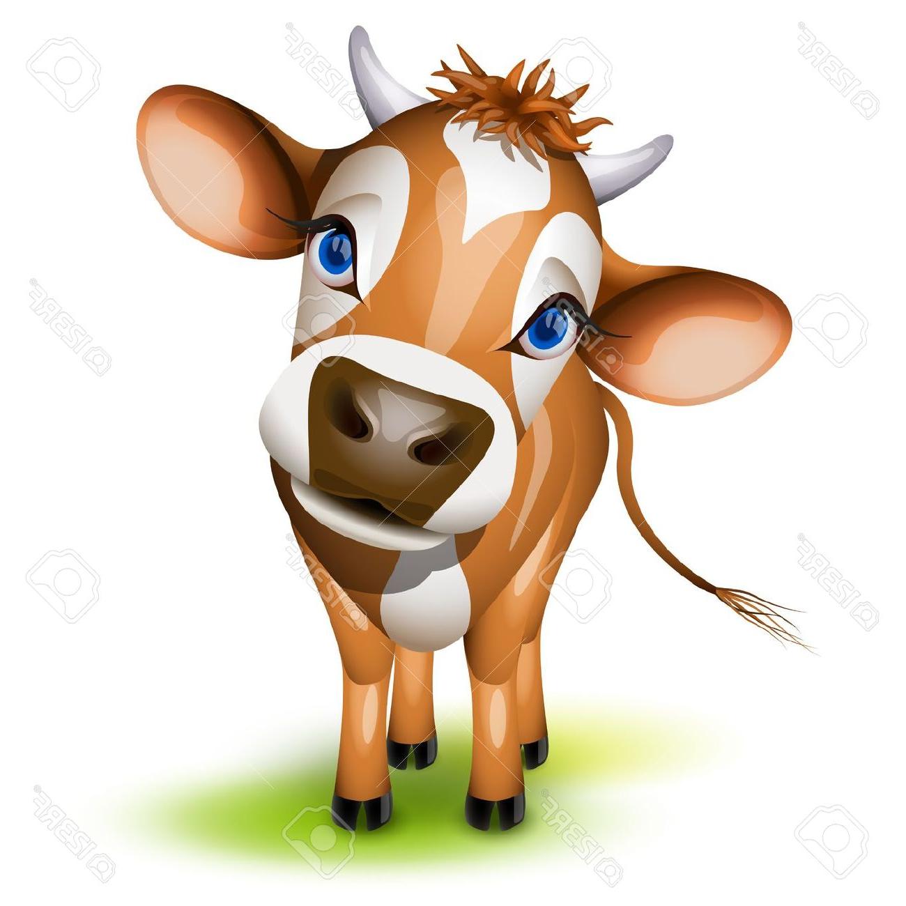 1300x1300 Unique Jersey Cow With Clip Pictures