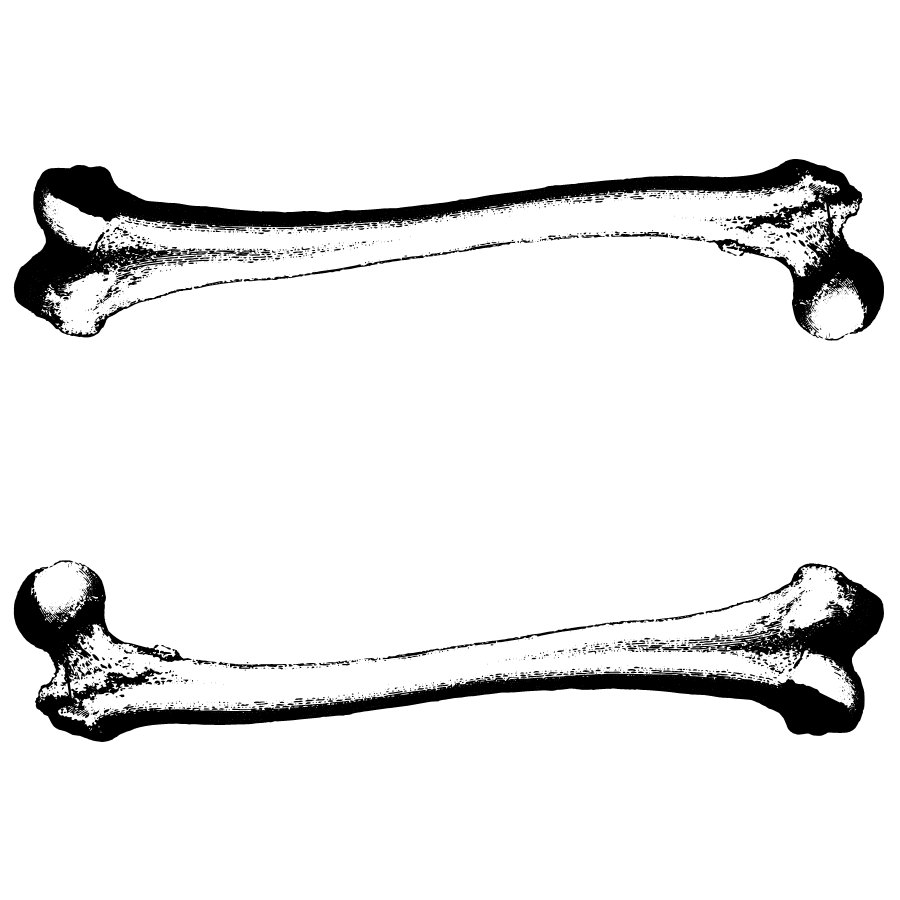 900x900 Dog Bone Graphic Dog Bone Clipart