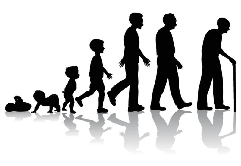 800x550 List Of Family Members By Age Group Supernanny Wiki Fandom